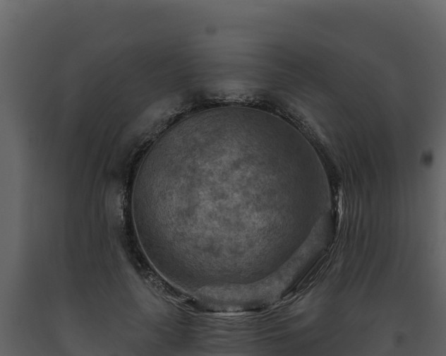 X0000093470643200710191146