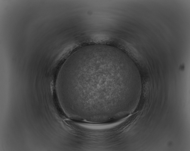 X0000093470644200710191146