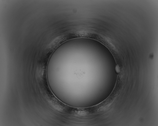 X0000093470645200710191146