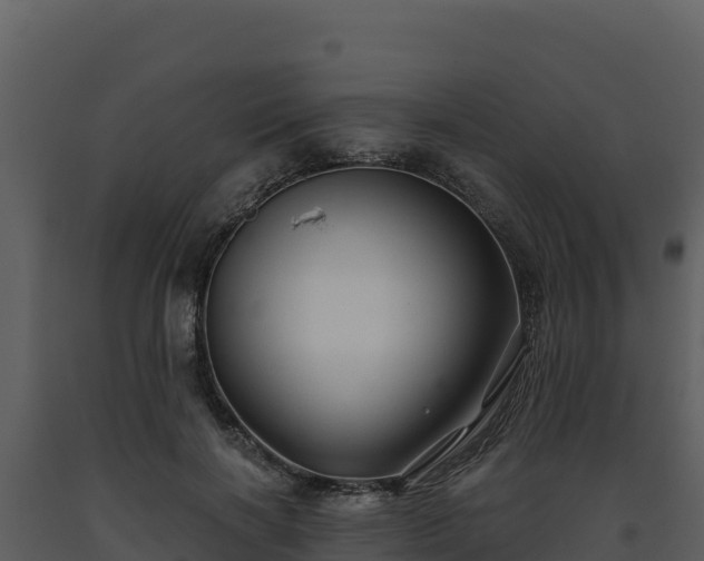 X0000093470646200710191146