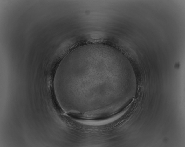 X0000093470647200710191146