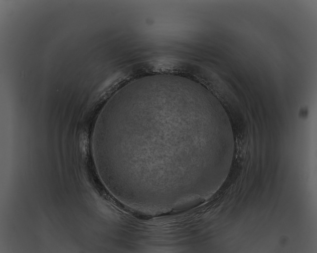 X0000093470648200710191146