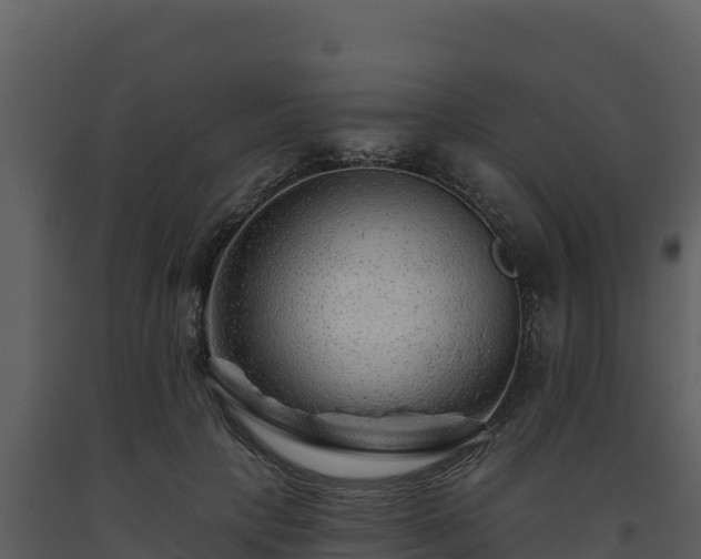 X0000093470649200710191146