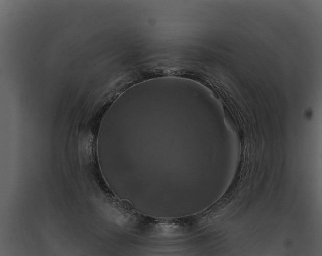 X0000093470650200710191146