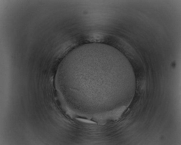 X0000093470652200710191146