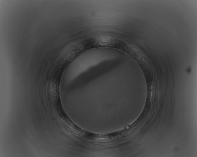 X0000093470653200710191146