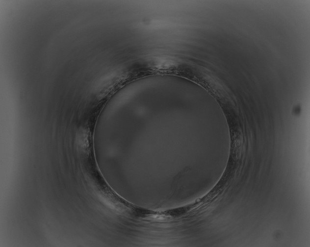 X0000093470654200710191146