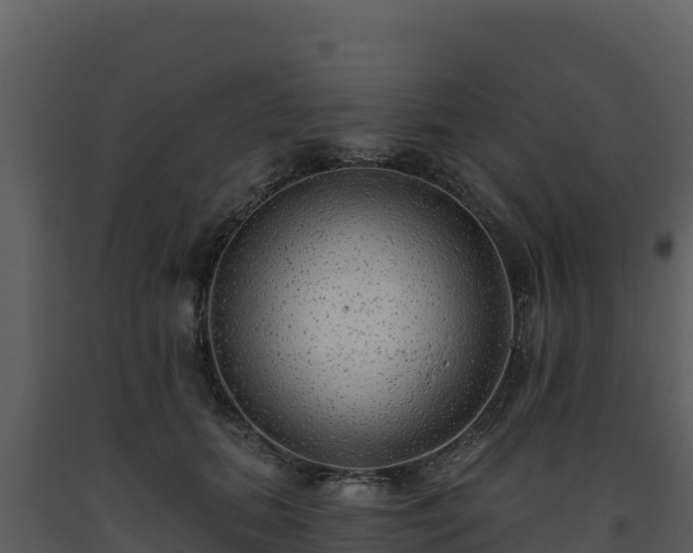 X0000093470655200710191146