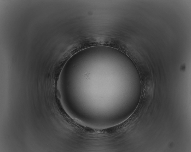 X0000093470656200710191146