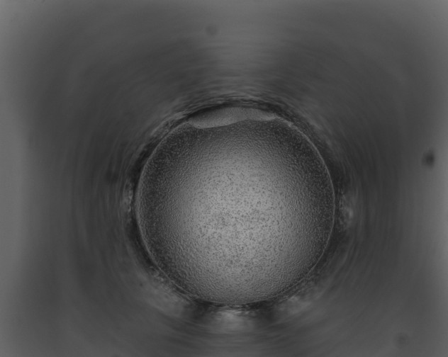 X0000093470657200710191146