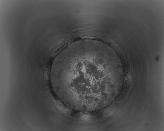 X0000093470658200710191146