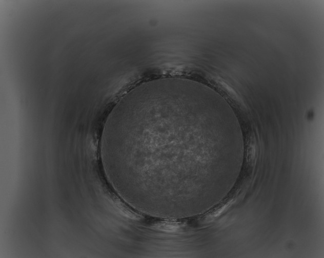 X0000093470661200710191146