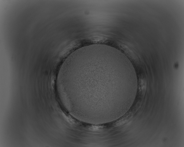 X0000093470664200710191146