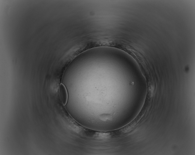 X0000093470665200710191146