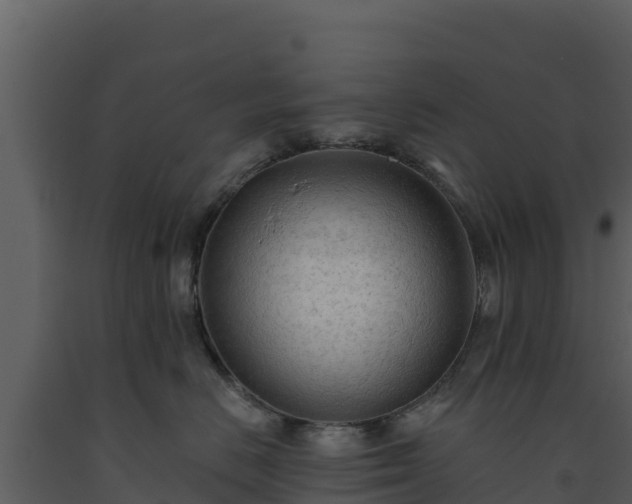 X0000093470670200710191146