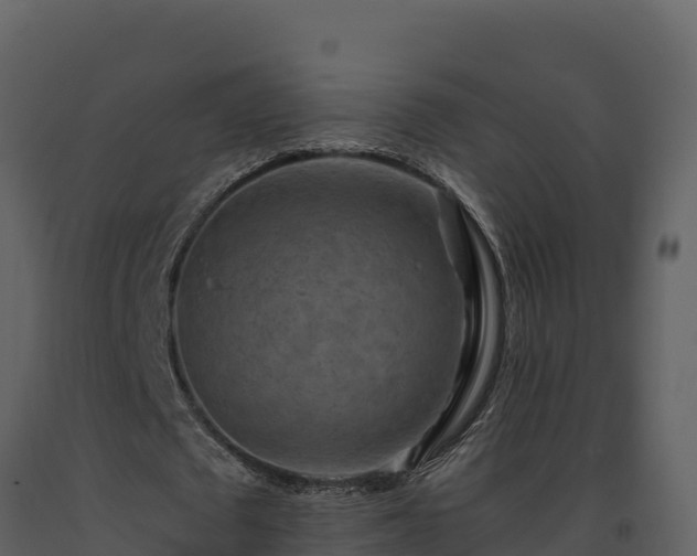 X0000093470673200710191145