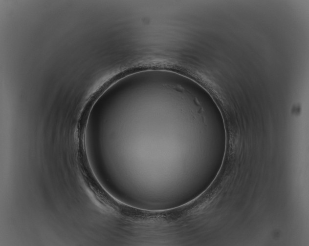 X0000093470674200710191145