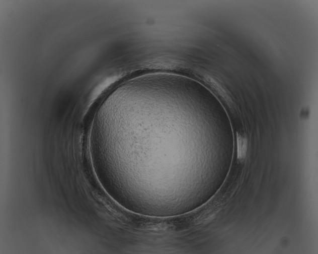 X0000093470675200710191145