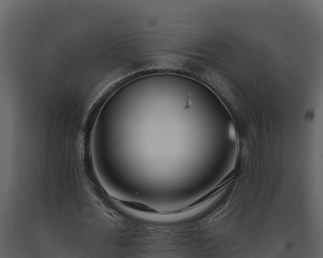 X0000093470676200710191145