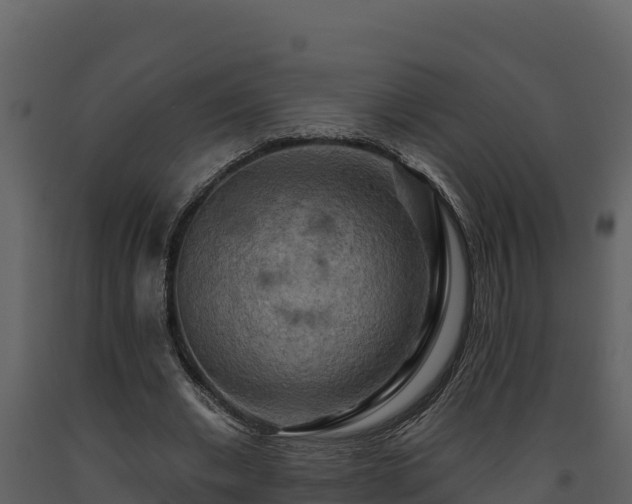 X0000093470677200710191145