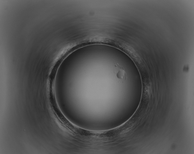 X0000093470678200710191145