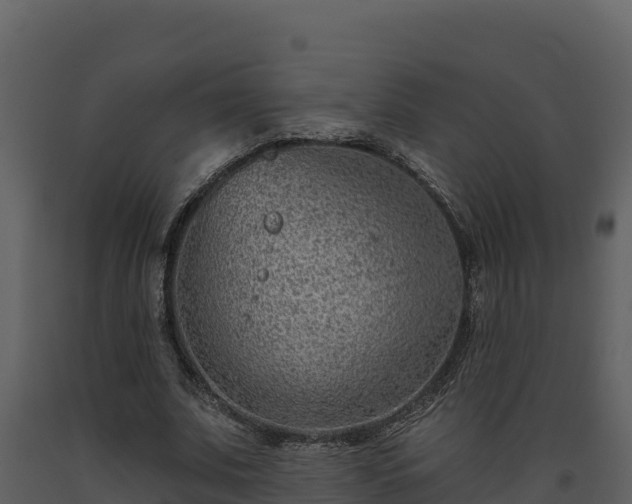 X0000093470679200710191145