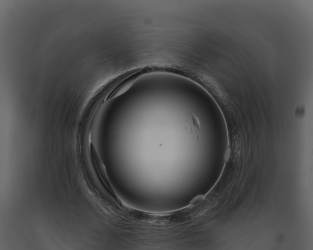 X0000093470680200710191145