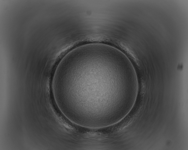 X0000093470681200710191145