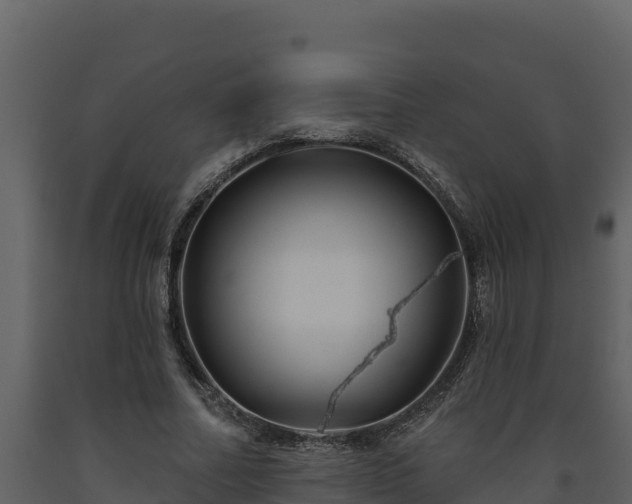 X0000093470682200710191145