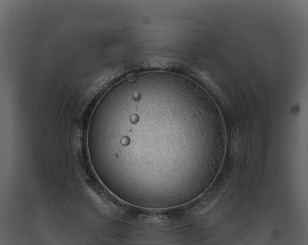 X0000093470683200710191145