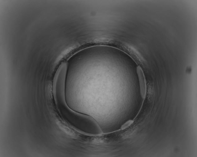 X0000093470684200710191145