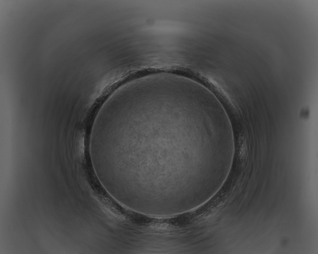 X0000093470685200710191145