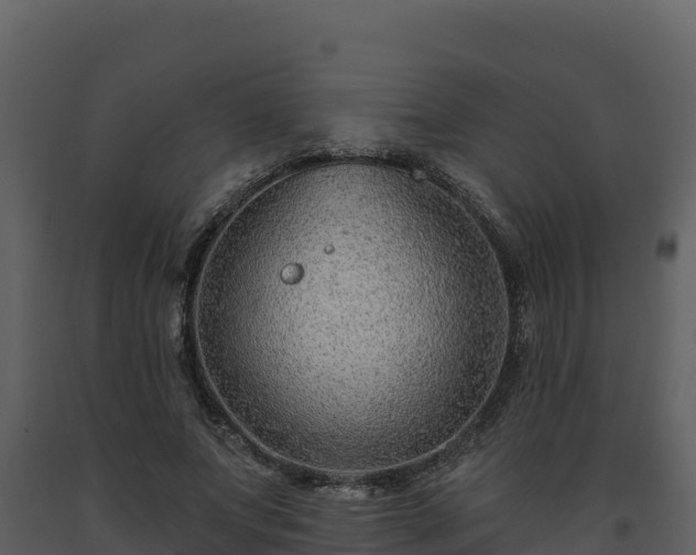 X0000093470687200710191145