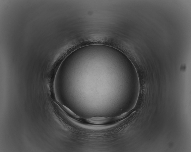 X0000093470688200710191145