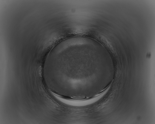 X0000093470689200710191145