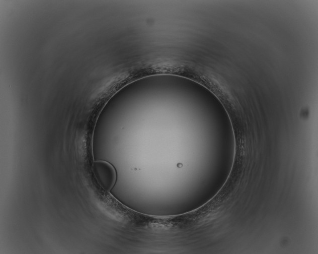 X0000093470690200710191145