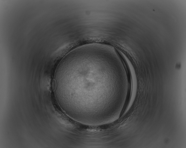 X0000093470693200710191145