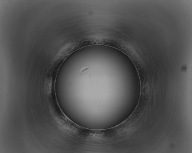 X0000093470694200710191145