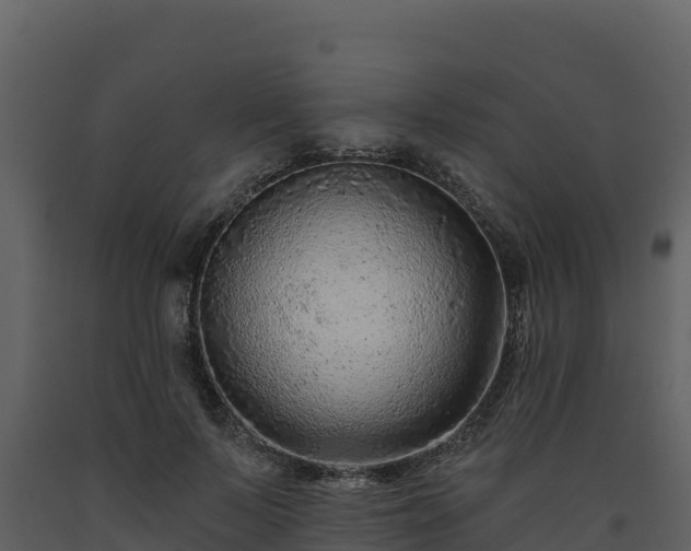 X0000093470695200710191145