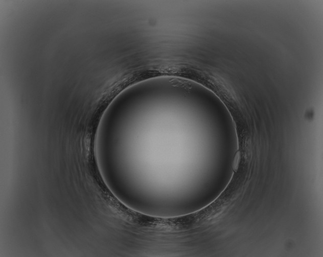 X0000093470697200710191145