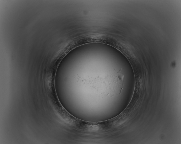 X0000093470698200710191145