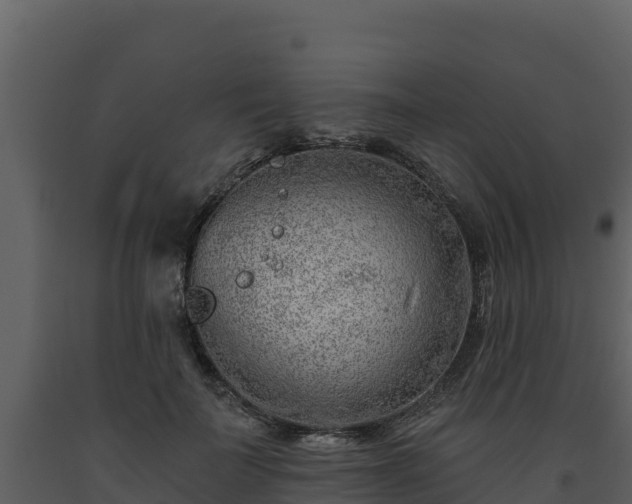 X0000093470699200710191145