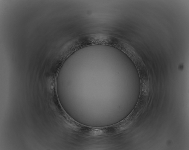 X0000093470701200710191145