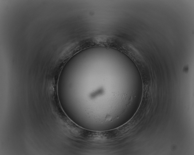 X0000093470702200710191145