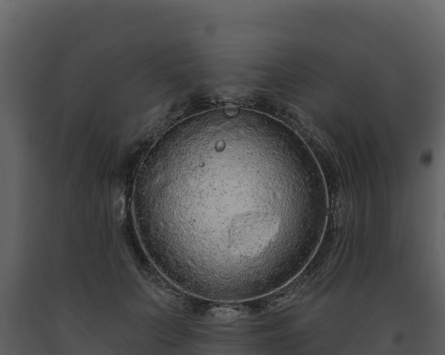 X0000093470703200710191145