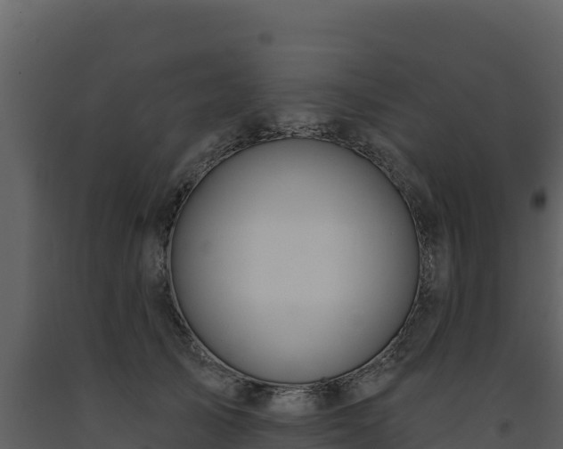 X0000093470705200710191145