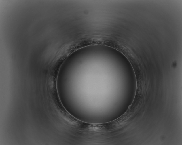 X0000093470706200710191145