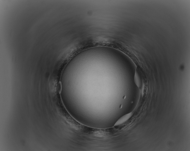 X0000093470708200710191145