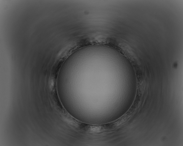 X0000093470709200710191145