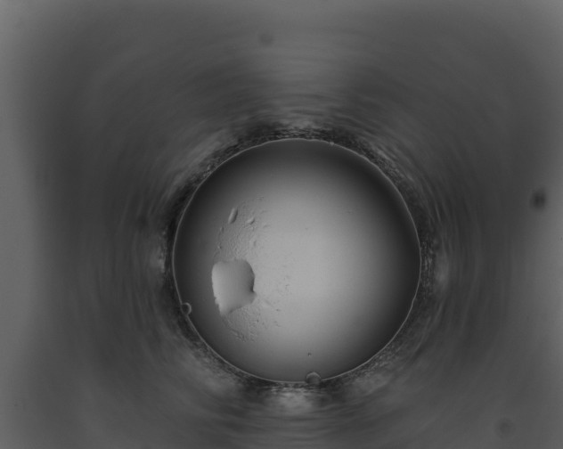 X0000093470710200710191145